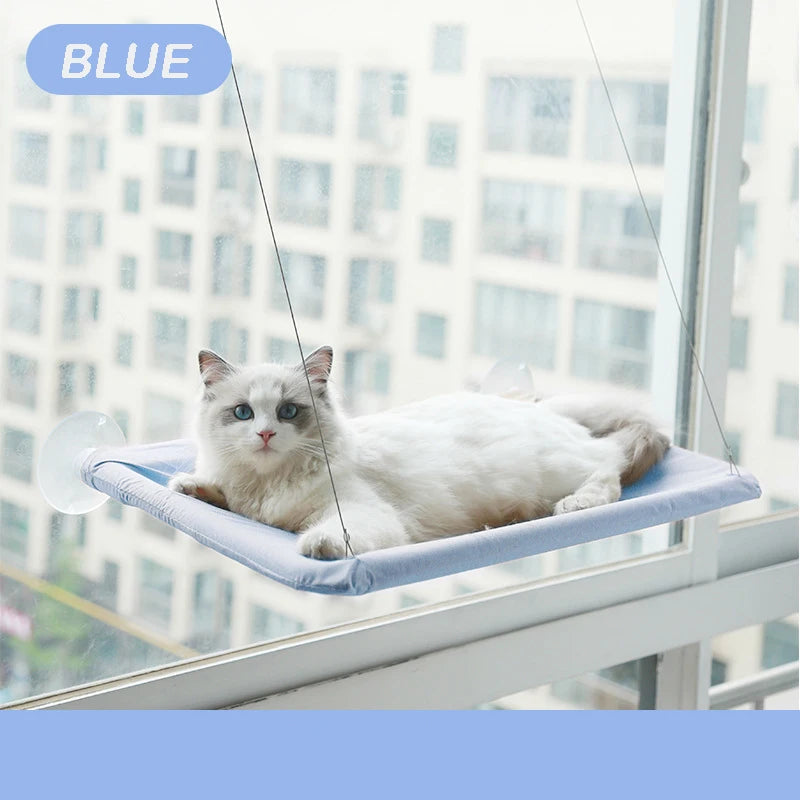 A white cat is relaxing on a blue aerial hammock pet bed near a window.