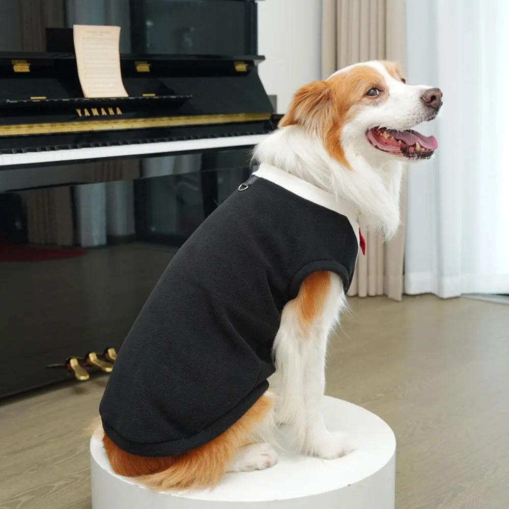 A dog wearing a black tuxedo costume with a red bow tie, sitting on a white pedestal.