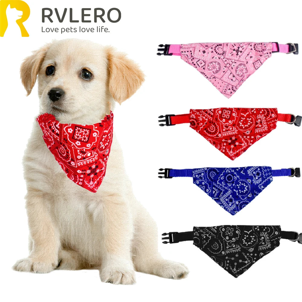 Ein Golden Retriever mit einem rot gemusterten Bandana für Haustiere.