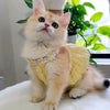 Un chaton orange et blanc duveteux portant une robe à couronne florale jaune.