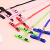 A collection of adjustable nylon pet harness and leash sets in black, pink, red, green, and blue.