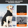 A golden retriever wearing a black waterproof and snow-proof coat designed for cold-proof and warm wearing.