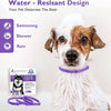A dog wearing a purple calming collar is shown next to a box of the same product.