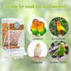 Distributeur automatique de nourriture pour oiseaux avec plusieurs orifices de distribution, adapté aux petits et moyens oise