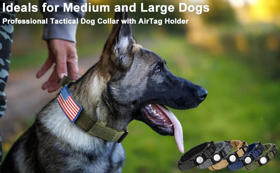 A German Shepherd wearing a professional tactical dog collar with an AirTag holder.