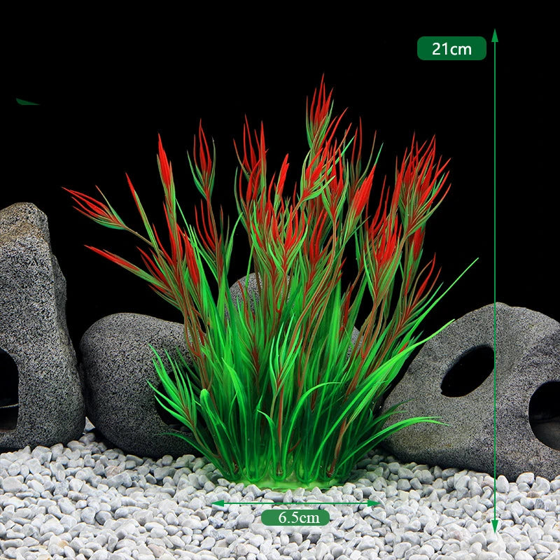 Plante verte vibrante aux feuilles rouges et pointues, présentée dans un décor aquatique rocheux.