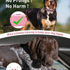 A dog wearing a training collar is shown with text emphasizing no shock, prongs, or harm in training.