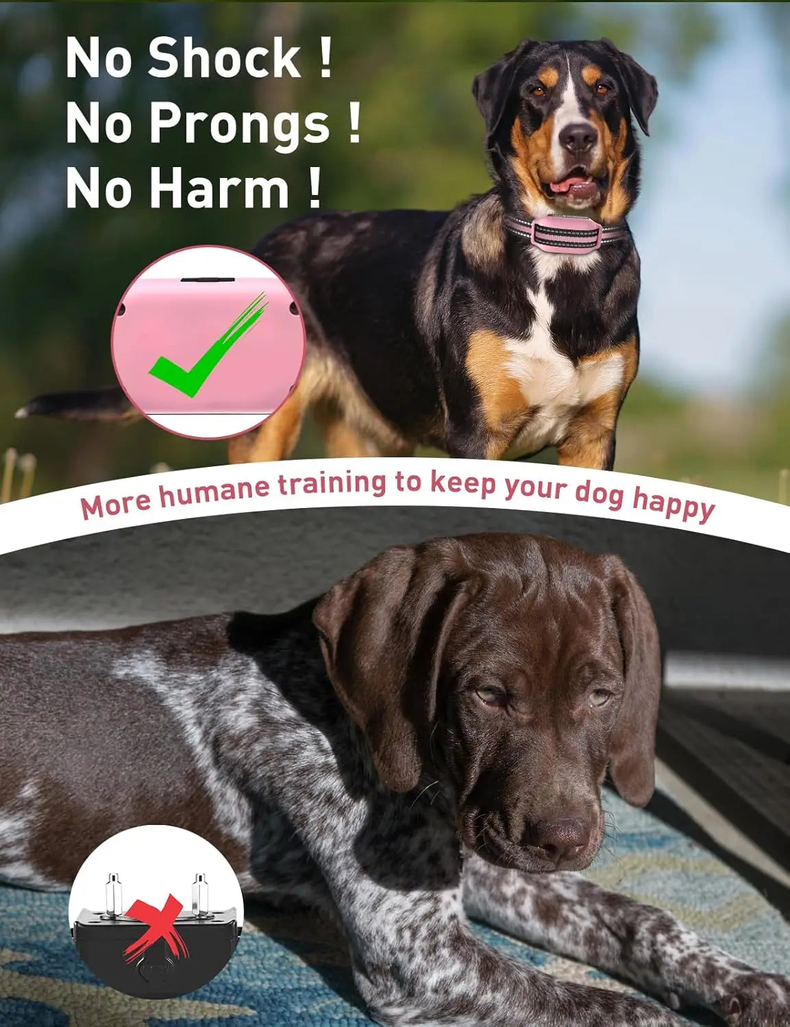 A dog wearing a training collar is shown with text emphasizing no shock, prongs, or harm in training.