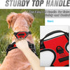 A close-up of a red dog harness with a sturdy top handle being held by a person, designed for easy lift and control.