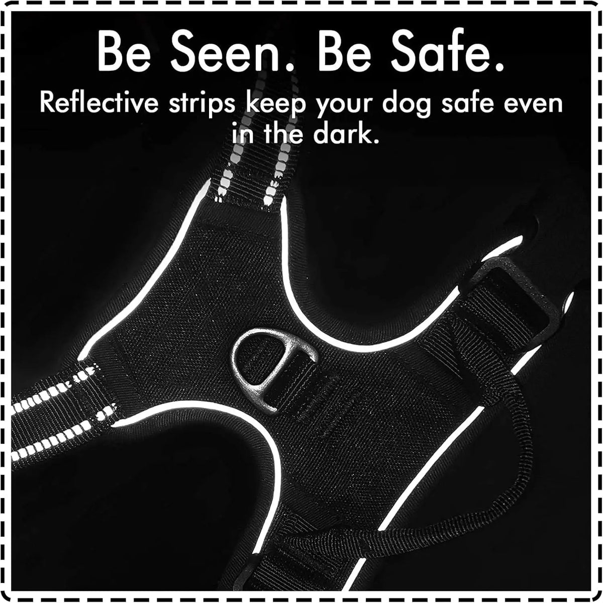 A close-up of a black padded dog traction chest harness with reflective strips glowing in the dark.