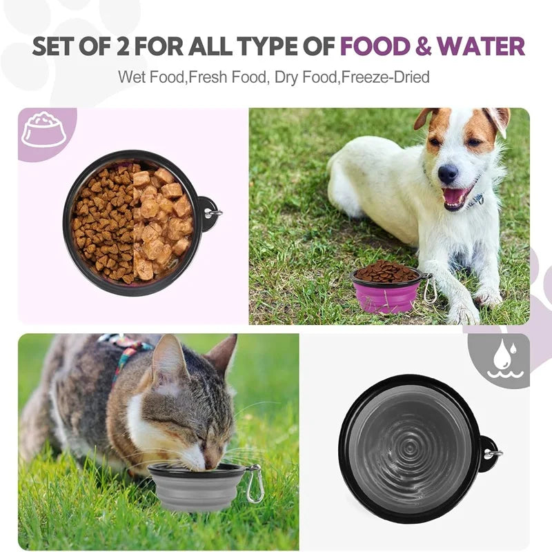 Set of two portable silicone pet feeder bowls for wet, dry, and freeze-dried food with a carabiner.