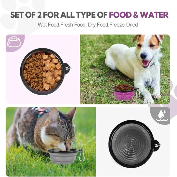 Set of two portable silicone pet feeder bowls for wet, dry, and freeze-dried food with a carabiner.