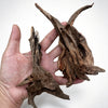 Eine Hand hält ein Stück natürliches Treibholz zur Dekoration für Aquarium und Terrarium.