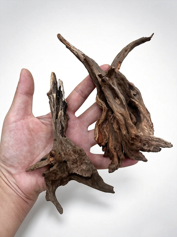 A hand holds a piece of natural driftwood used for aquarium and terrarium decor.