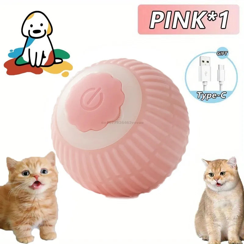 Pink automatic rolling interactive ball for cats with a Type-C charging cable shown next to a cat.