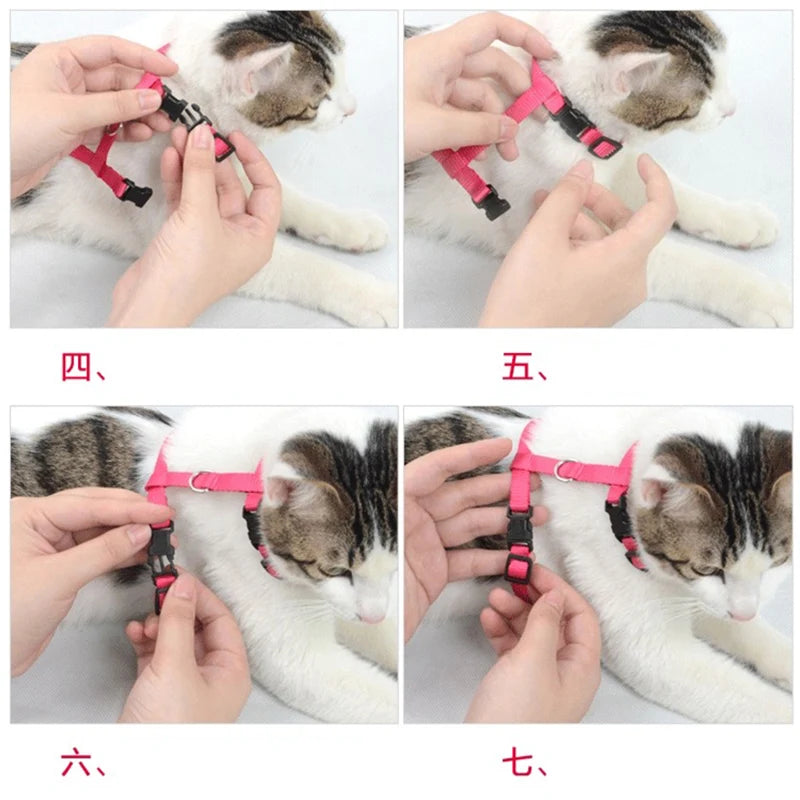 Six images showing different ways to attach an adjustable nylon pet harness and leash set to a cat.