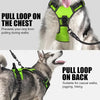 A dog wearing a neon green harness is shown with instructions for pulling loops on the chest and back.