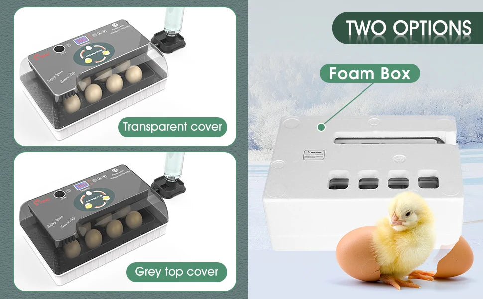 Deux options pour un incubateur à œufs automatique, montrant une boîte en mousse et un couvercle gris avec un œuf.