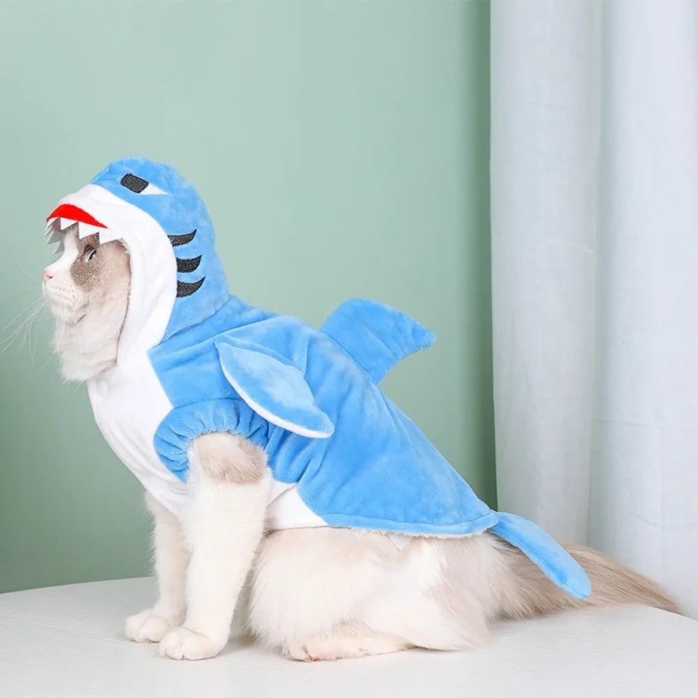 Un chat blanc portant un costume de requin bleu, assis sur une surface blanche devant un mur vert clair.