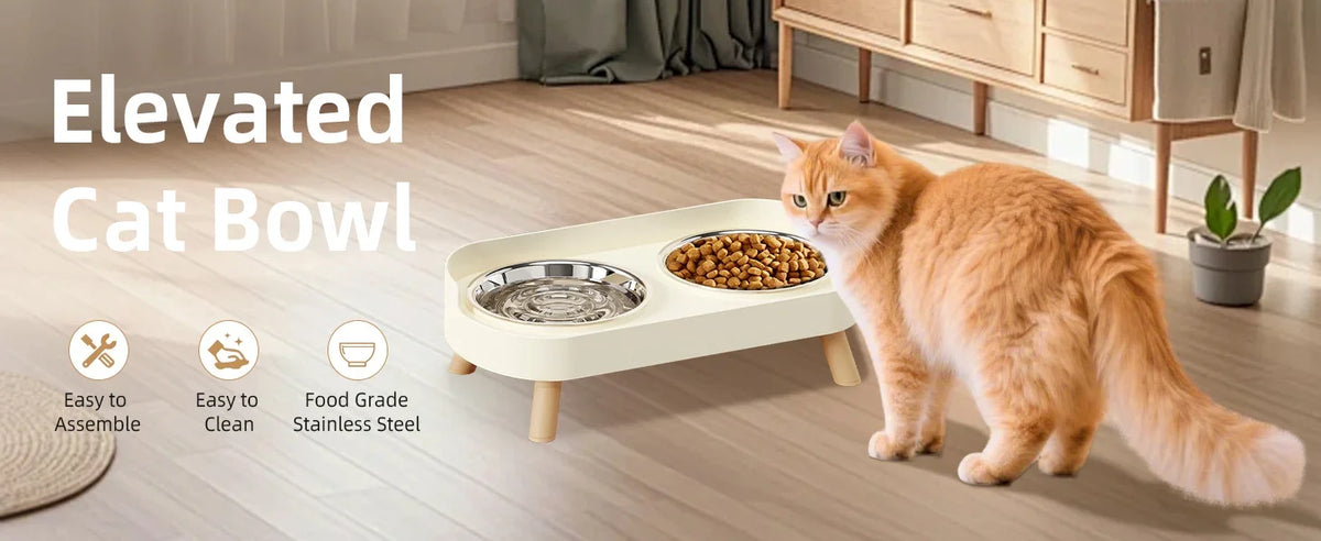 An orange cat sits next to an elevated cat bowl set featuring stainless steel food and water dishes.