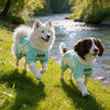 Two dogs wearing light green cooling dog suits running along a grassy bank next to a river.