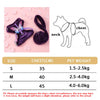 A diagram of a dog wearing a harness, alongside size chart options for S, M, and L sizes.