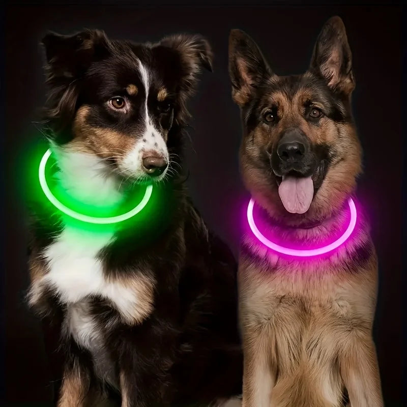 Deux chiens portant des colliers LED lumineux, un vert et un rose, sur fond sombre.