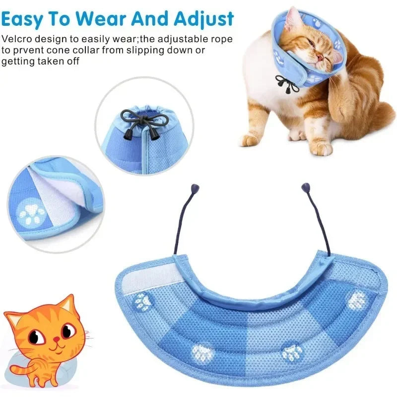 A light blue adjustable recovery collar for cats, shown being worn by a tabby cat.