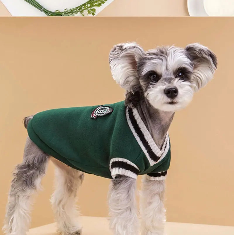 A small, fluffy dog wearing a dark green V-neck knit vest with white trim.