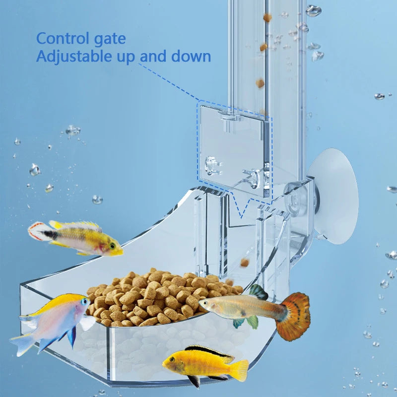 Un tube d'alimentation clair pour aquarium avec une porte de contrôle réglable distribuant de la nourriture aux poissons.