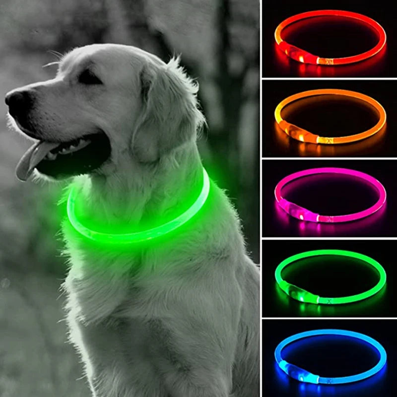 A white dog wearing a glowing LED collar, shown alongside various colored light options.