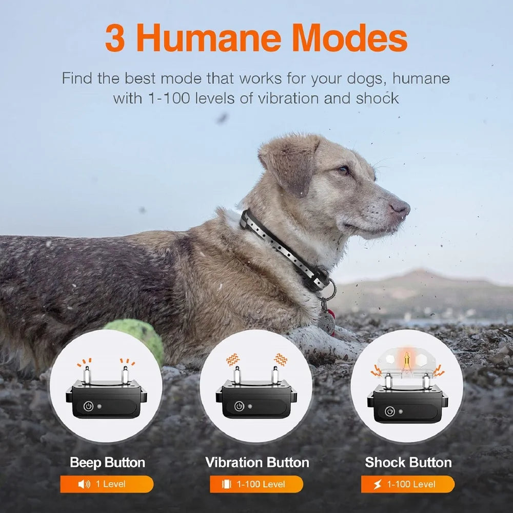 Un chien portant un collier d'entraînement noir à côté d'icônes illustrant les modes bip, vibration et choc.