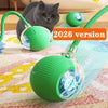 A green interactive rolling cat toy ball is shown next to a cat, with another version labeled 2026.