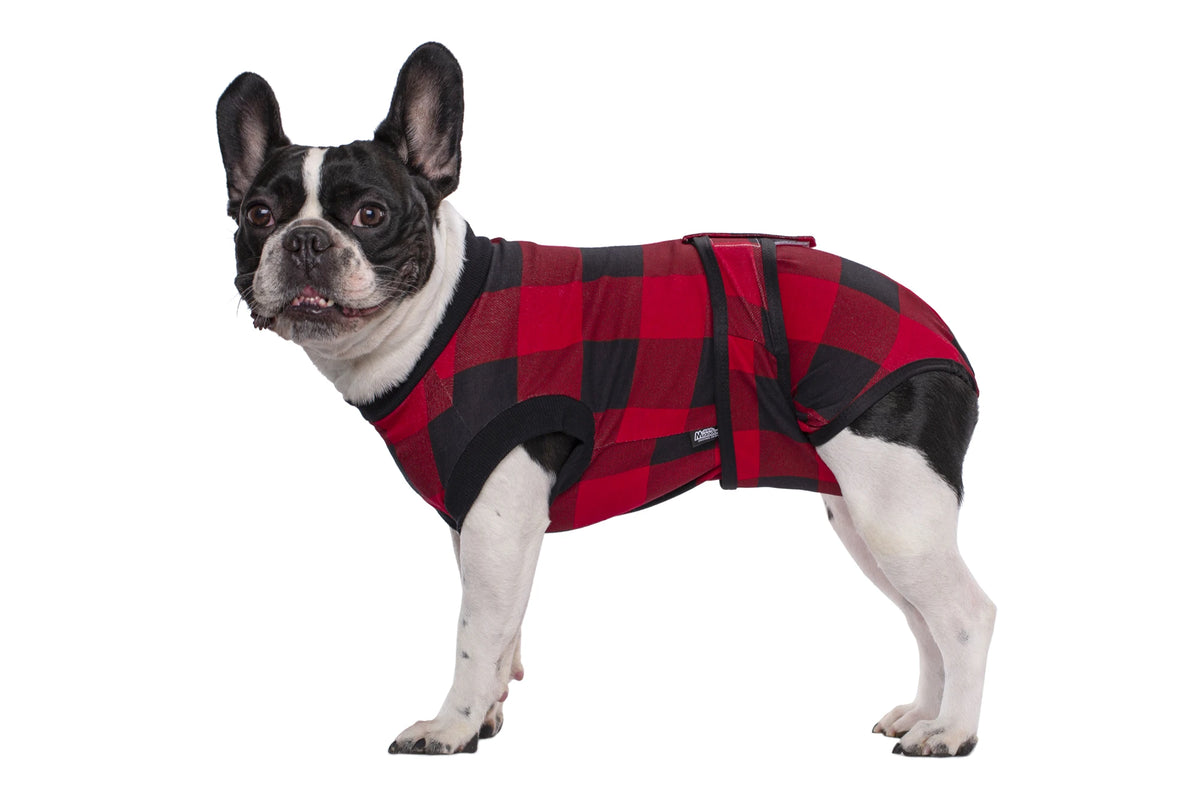 A black and white dog wearing a red and black plaid recovery suit.
