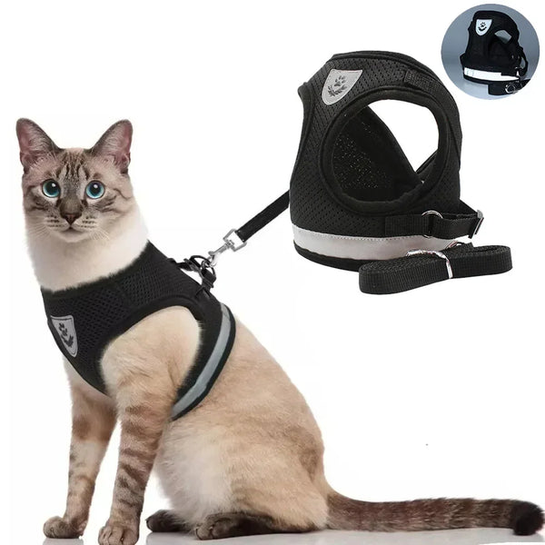 A black adjustable reflective mesh harness for a cat or small dog shown with a leash.