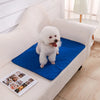 A small white dog stands on a blue reusable washable pet training mat placed on a white sofa.