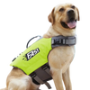 Un perro de color claro vistiendo un chaleco salvavidas para mascotas amarillo neón.