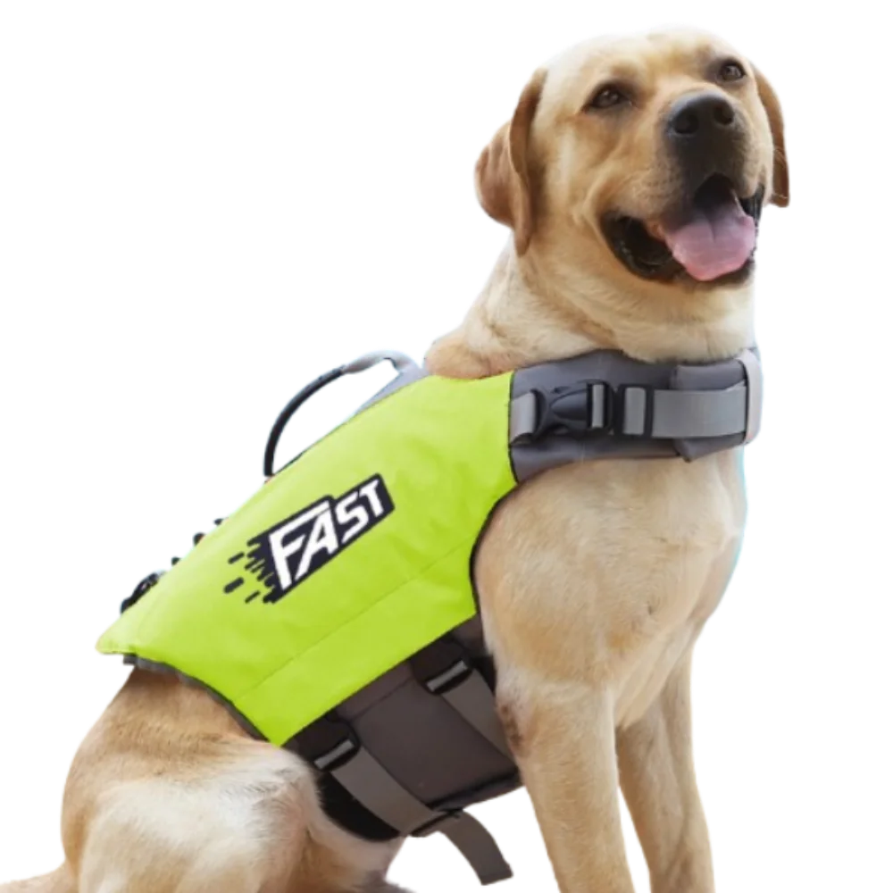 Un perro de color claro vistiendo un chaleco salvavidas para mascotas amarillo neón.