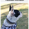 A white and black dog wearing an adjustable leather spiked collar outdoors.