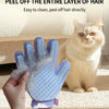 Eine Hand hält eine blaue Pflegehandschuhe, um das Fell einer Katze zu reinigen.