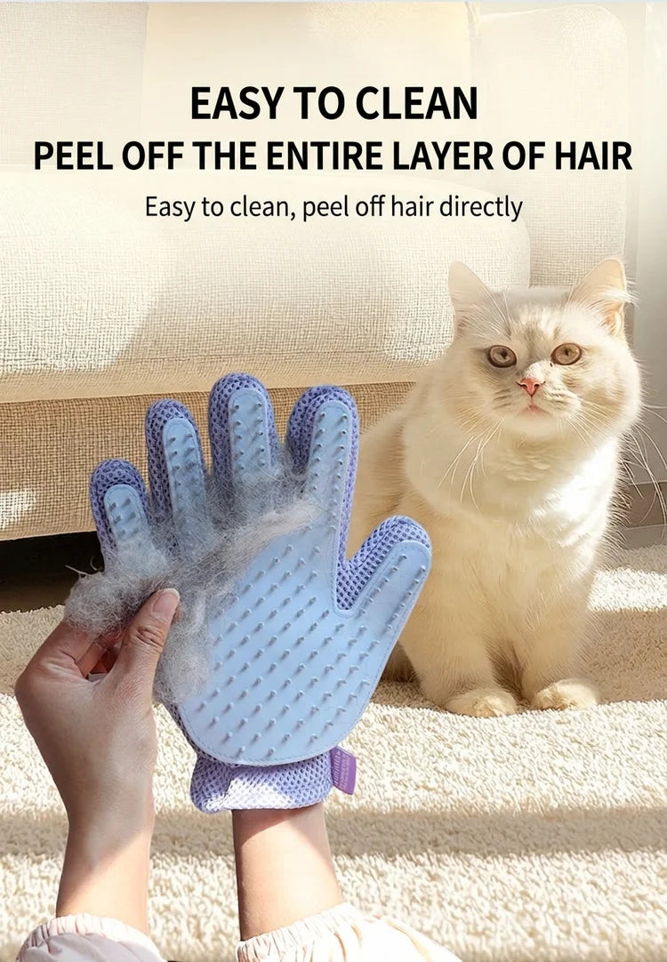 Eine Hand hält eine blaue Pflegehandschuhe, um das Fell einer Katze zu reinigen.