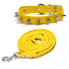 Yellow studded leather dog collar with metal rivets shown flat and coiled