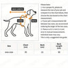 Diagram showing measurements for a pet costume, including back length, chest, and neck dimensions.