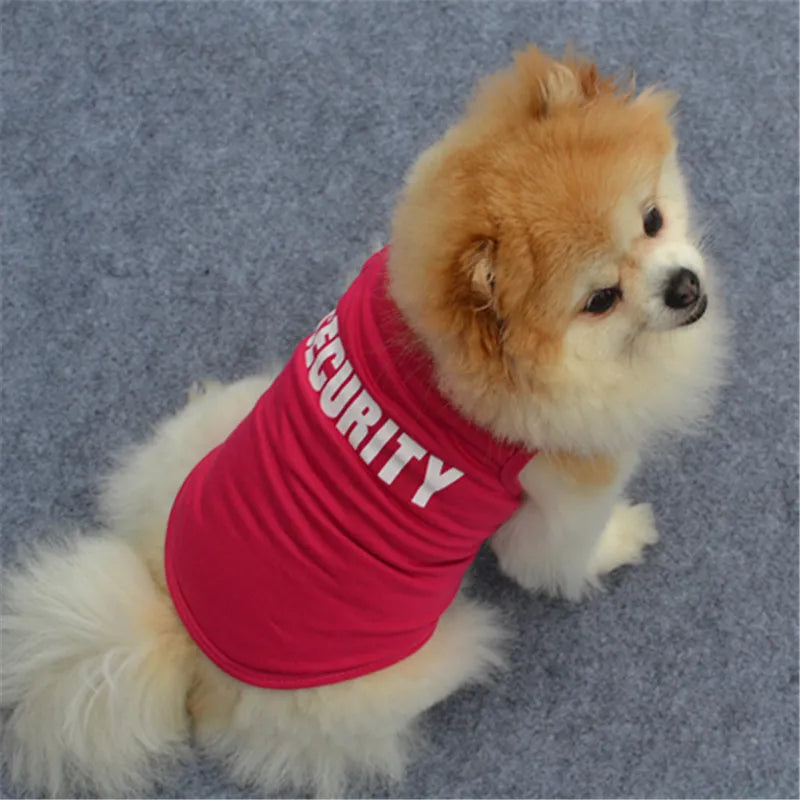 Un perro peludo naranja y blanco vistiendo un chaleco de seguridad rojo.