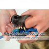 Hands are holding a blue silicone pet toothbrush with soft bristles for gentle cleaning on a cat's mouth.