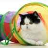 Eine flauschige weiße und schwarze Katze sitzt in einem gelben faltbaren Tiertunnel.