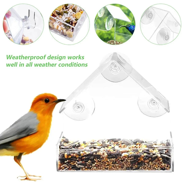 Transparent window bird feeder with suction cups showing a bird feeding from the tray.