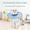 Un chat blanc et duveteux portant un collier élisabéthain bleu clair, assis sur le sol.