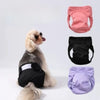 Colección de panties sanitarias anti-fugas reutilizables para perros en negro, rosa y púrpura.