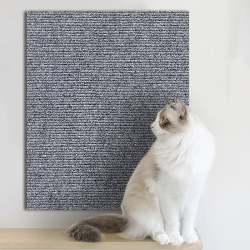 A white and gray cat is sitting in front of a dark gray textured scratching mat.